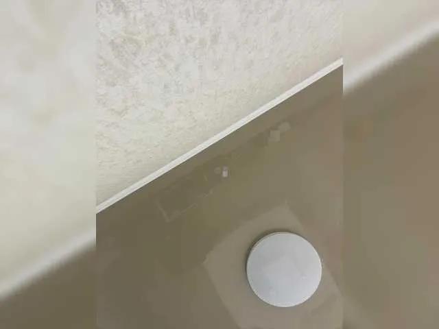 Offline -Bunya- on BongaCams