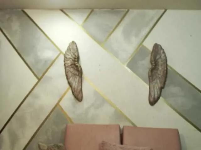 Cyrano-Roxana on BongaCams