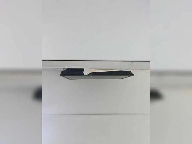 ElizHarper on BongaCams