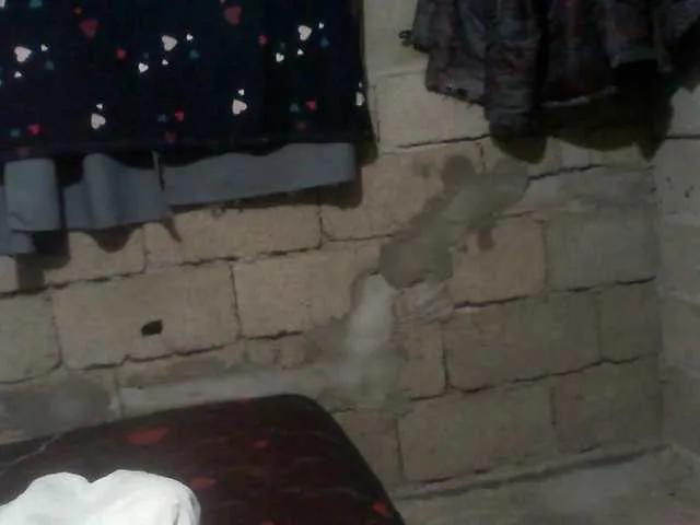 Offline naomiyfabian on BongaCams