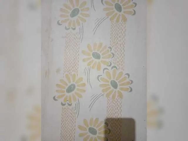 VselenaSun402 on BongaCams