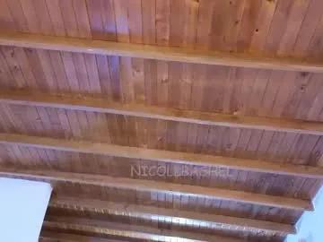 Freechat nicollbashel on Chaturbate