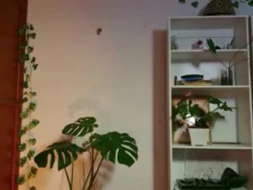 stellart_ on Chaturbate