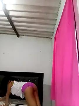 Ari_1217 — plug anal