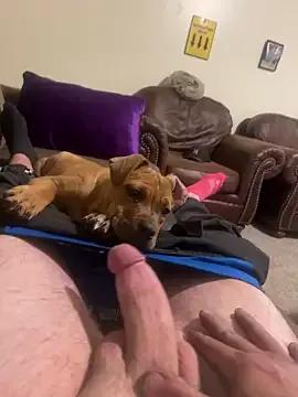 cumgitsumdic on StripChat