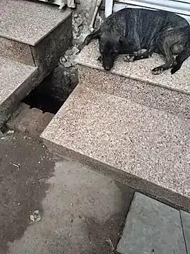 Hot_modal on StripChat