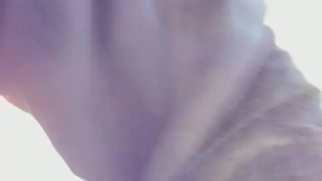 stephany_summer on StripChat