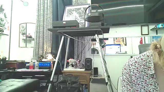 TheGAPEgatsby92 — have fun, please guests, make tokens,