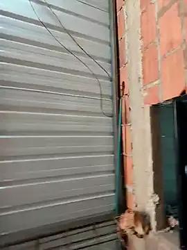 Zoe_Sweett18 on StripChat